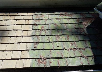 See-actual-side-by-side-comparisons-of-roofs-in-the-process-of-being-repaired-and-restored-by-South-West-Roof-Restoration