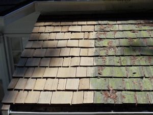 Roof Repair Service, Surrey, Delta, Langley, Whiterock, Richmond BC.