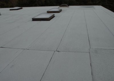 Torch On Roofing, Metal Roofing, South West Roofing, Roofing Services, Roofing Experts, BC